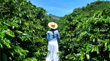 Coffee Tour na Fazenda Zandonade (Visita Guiada)